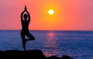 Employee Wellness Program