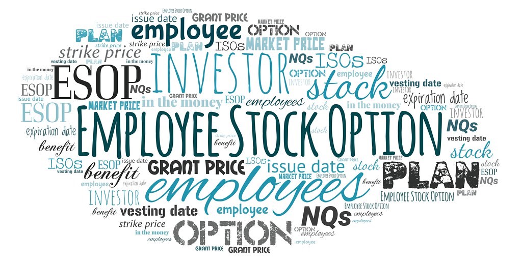 terms related to employee stock option plan