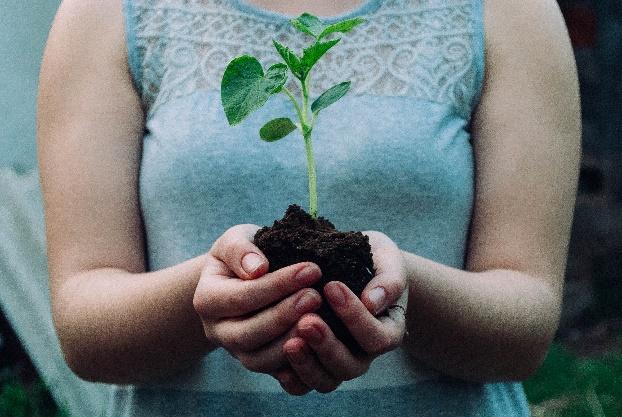 Earth Day Employee Engagement Ideas