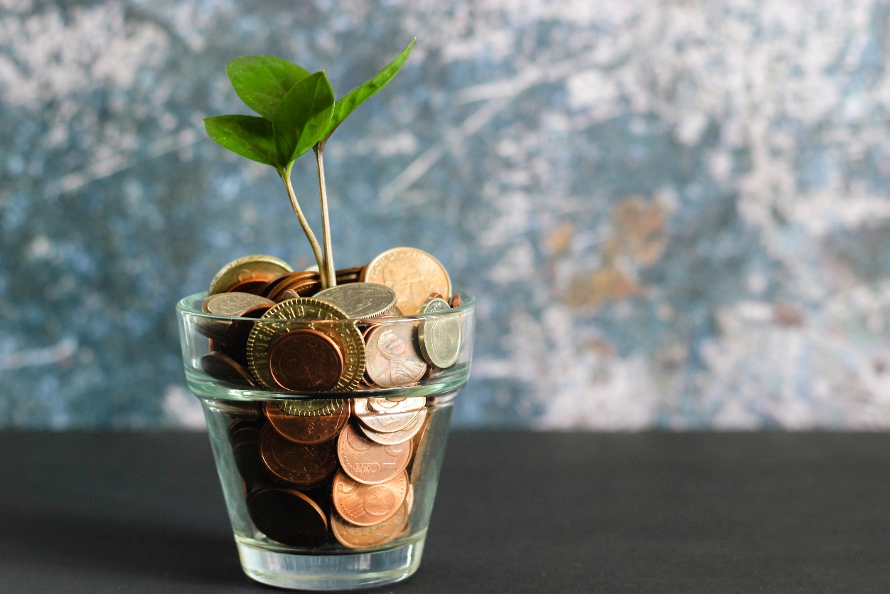 Financial Wellness