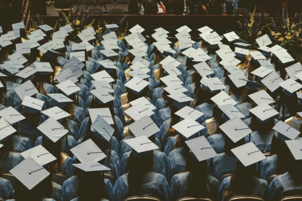 fresh graduate's career